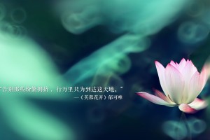 1958年世界杯：解析那届瑞典世界杯如何开启了电视转播的新纪元。